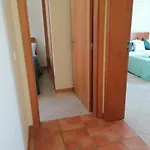 Despertar Do Sol